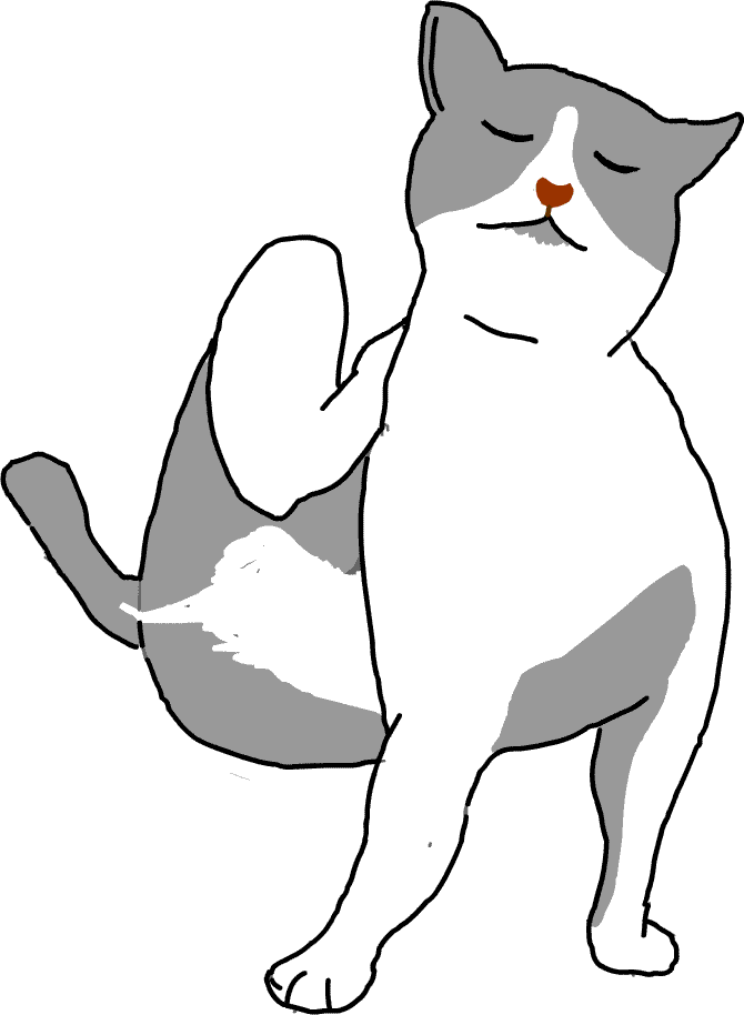 cat9