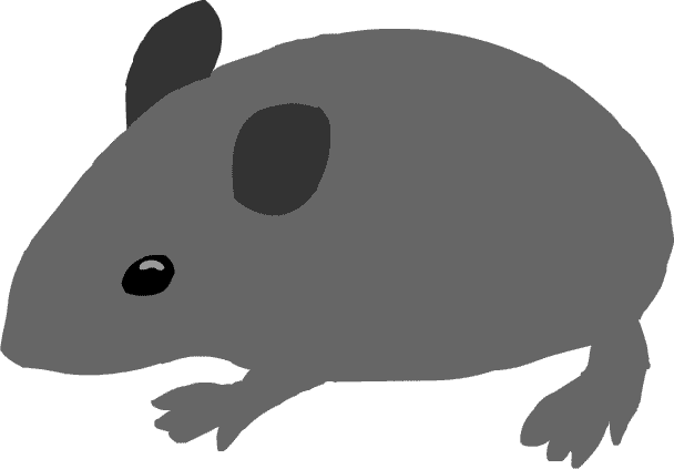 ネズミ 鼠 イラスト 無料 カピバラ