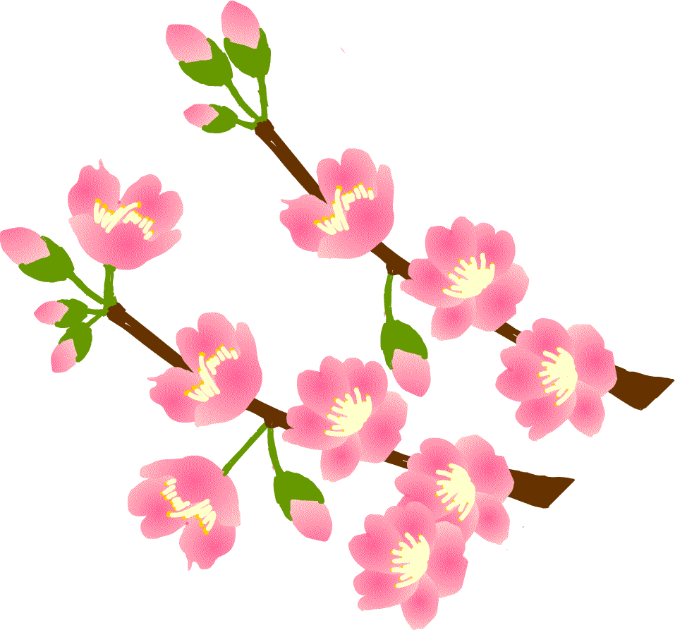 sakura